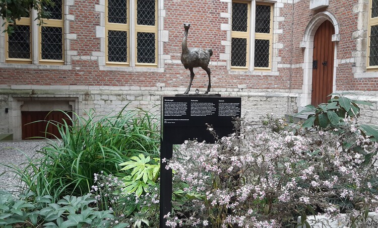 Centraal is er een klein bronzen beeldje van een struisvogel te zien. De planten er rond staan in bloei. Op de achtergrond zie je de gevel van het museum.